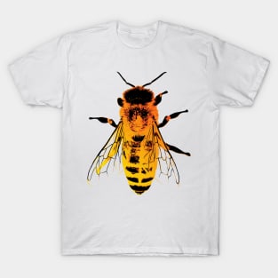 Honey Bee Bug Art T-Shirt